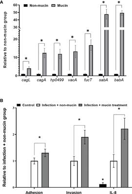 Antagonistic Activities of Lactobacillus rhamnosus JB3 Against Helicobacter pylori Infection Through Lipid Raft Formation
